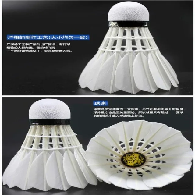 最新赛事动态与新闻资讯深度解读尽在此处